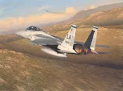 Advantage Eagle