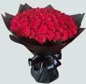 100 RED/PINK ROSES WRAPPED (ONLY AVAILABLE ONLINE)