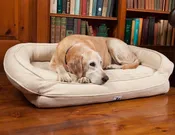 EZ Wash Premium Headrest Polyfill Dog Bed