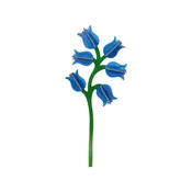 3D Flower Large -  Campanula