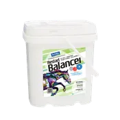 Restart® Balancer