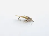20 INCHER GOLDEN BIOT TAIL STONEFLY